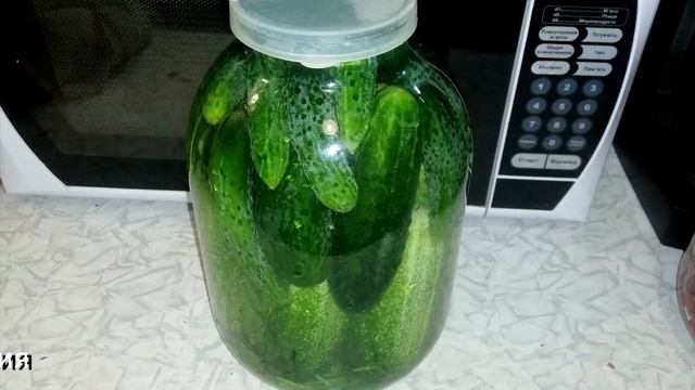 Солим огурцы на зиму | Погреб для хранения соленых огурцов НЕ НУЖЕН!!! смотреть онлайн