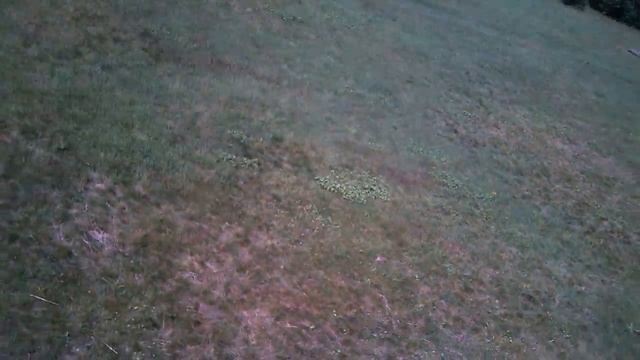 Лялин луг смотреть онлайн