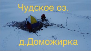 Чудское оз. д. Доможирка.15.12.21.