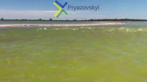 Пеленгас на Молочном лимане, удивительное зрелище нереста