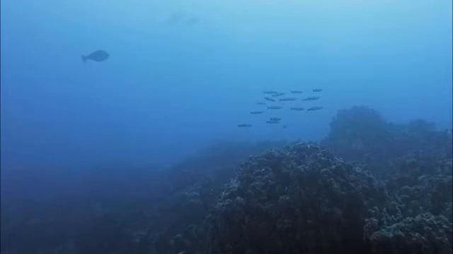 Артем Дайв-Давай нырнем смотреть онлайн