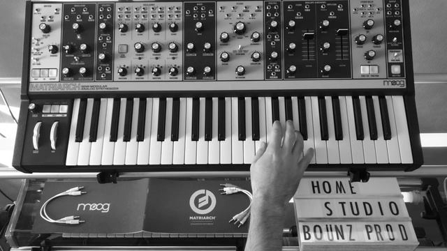 The iconic sounds of Vangelis with the Moog Matriarch смотреть онлайн