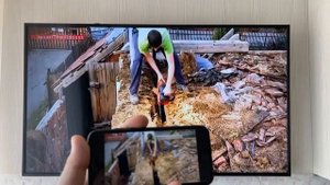 Как подключить iPhone/iPad к телевизору? БЕЗ Apple TV и приложений. Работает 100%.