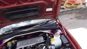 Газовые упоры Fenox A901001 на Subaru Forester SG5