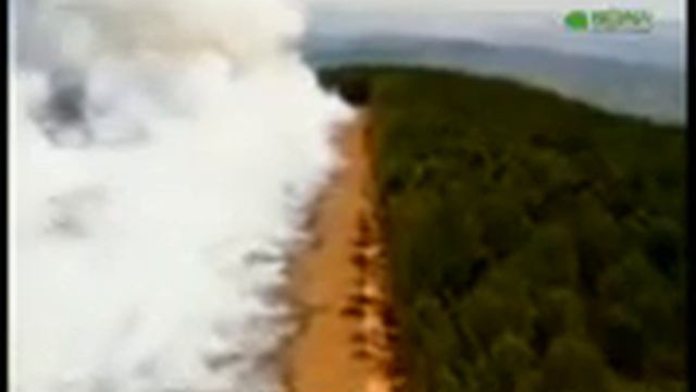 Биона. Решение - в природе | Biona смотреть онлайн