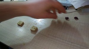 Бриариум ультрагрин, фрагование коралла, клею на плашки