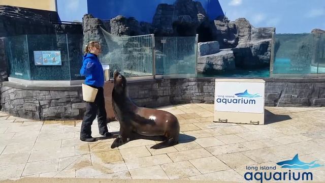 Java Dancing With Jenna смотреть онлайн