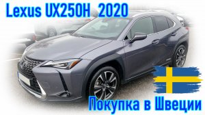 Покупка и пригон автомобиля из Европы (Швеции). Lexus UX250H 2020 г.в.