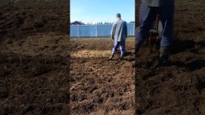 Вспашка кротом