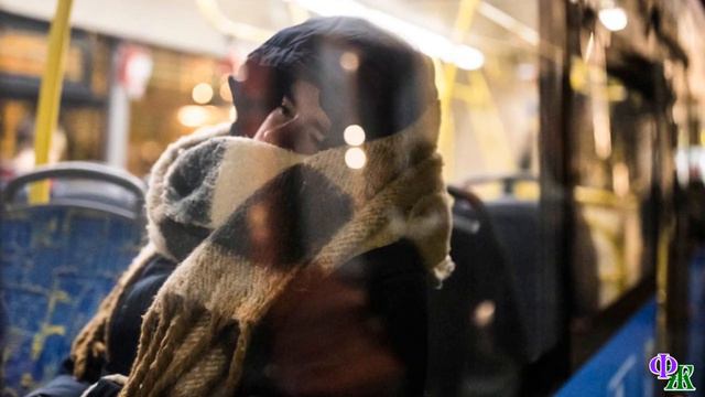 Как я на кошачью еду охотилась...