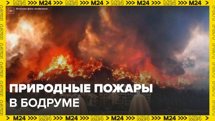 Природный пожар в турецком Бодруме перекинулся на частные строения - Москва 24