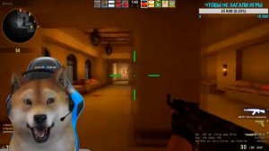 А Я СОБАКА ДОГИ КЛИП DOGE MEME MUSIC