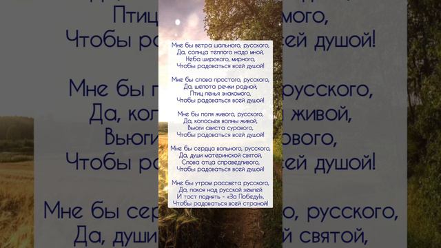 СТИХОТВОРЕНИЕ - «МНЕ БЫ ВЕТРА ШАЛЬНОГО, РУССКОГО».