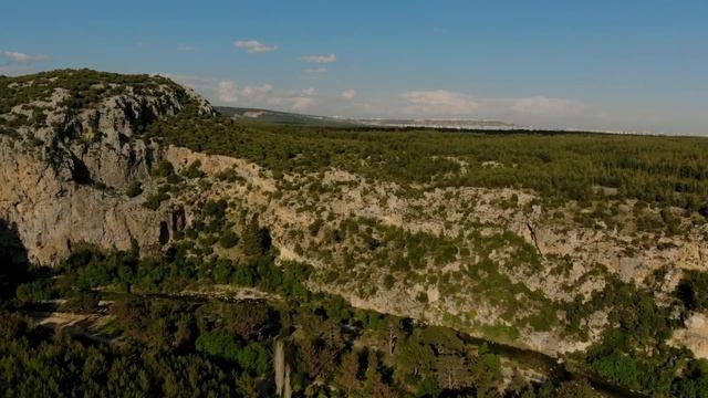 Звуки природы, без рекламы, звуки леса, пение птиц, для релаксации,сна, медитации, Relax смотреть онлайн