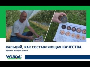 Листовое питание для яблоневого сада/Кальциевое питание яблонь/Выращивание яблок