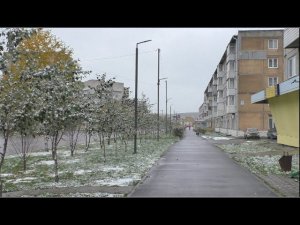 Первый снег. г.Ачинск  01.10.22г.  Автор видео Елена Цыганова