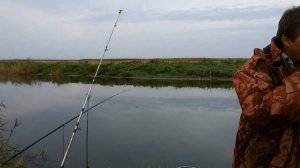 Рыбалка и отдых.   Река Чулым