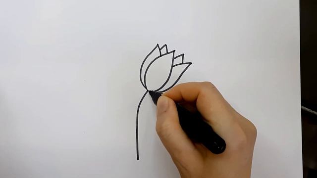 Рисуем тюльпан смотреть онлайн