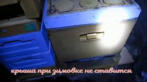 ответы на вопросы - как у меня зимуют пчелы в зимовнике в ульях ППУ и ППС