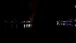 №37. Животный мир в Орландо, Флорида.