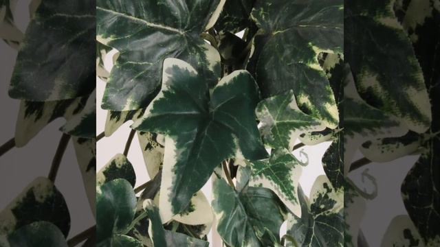 Green White Ivy Artificial Plant Hanging Leaves Fake Decoration Wall смотреть онлайн