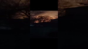 Пожар 5.12.2022.mp4