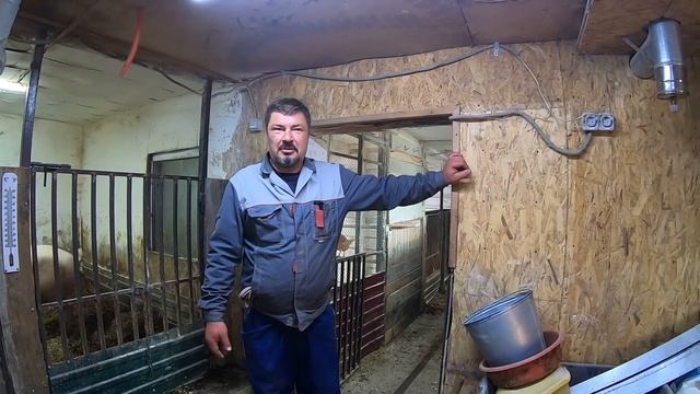 КАК И ЧТО ЕСТ ПОРОСЕНОК | ПРО КАШУ ДЛЯ ПОРОСЯТ | БУНКЕРНАЯ КОРМУШКА НЕ РАБОТАЕТ | МИША ХУЛИГАНИТ