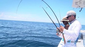 Offshore Cobia Fishing with Epic Shark Action