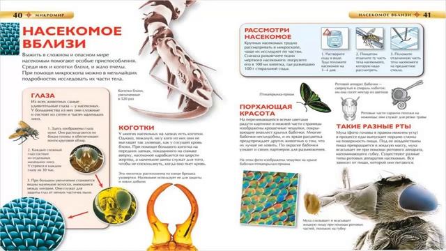 Обзор книги Микромир