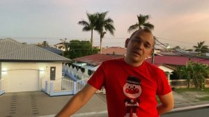 Суринам. Моя краткая история - как я начал работать заграницей или как я оказался в Суринаме.