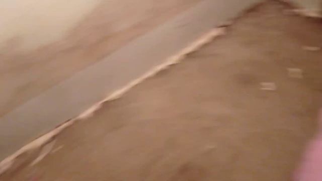 Месячные индоутята, какие выросли закончился корм, чем кормить Быков? смотреть онлайн