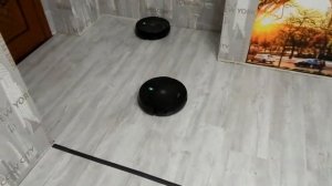 Два робота пылесоса в ограниченном пространстве.