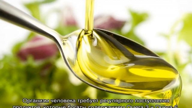 Полиненасыщенные жирные кислоты смотреть онлайн