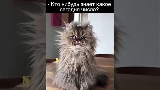 Кто знает????какое сегодня число