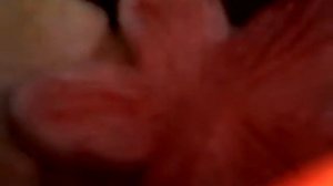 Что я сделала из соленого теста