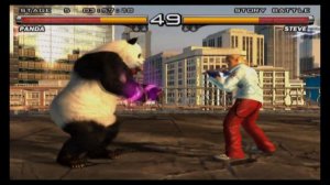 TEKKEN 5 PANDA
