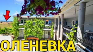 Поселок Оленевка Крым снять жилье, хозяйка +7(913)913-23-02