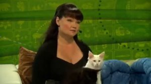 Мейн Кун. Особенности содержания и ухода