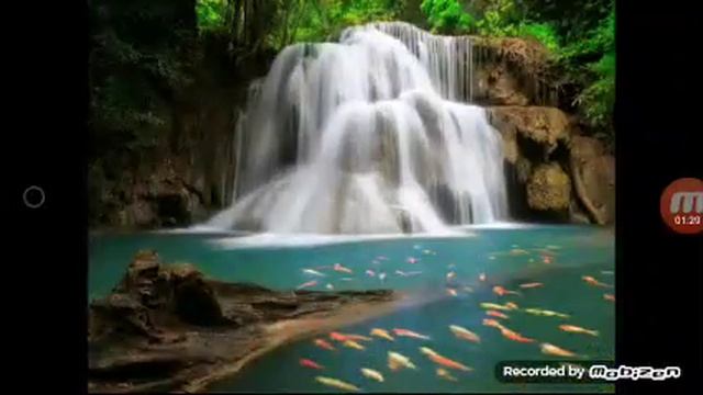 Родной Пермский край. смотреть онлайн