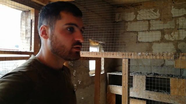 переезд в новую голубятню смотреть онлайн