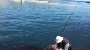 Рыбалка в Балаклаве. Поймал Ставридку, морского ерша и бычков. Часть 2.