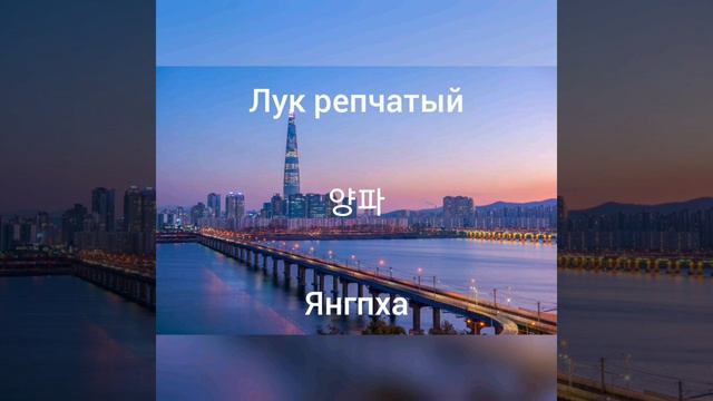 Корейский язык / овощи, фрукты, зелень / урок 12 смотреть онлайн