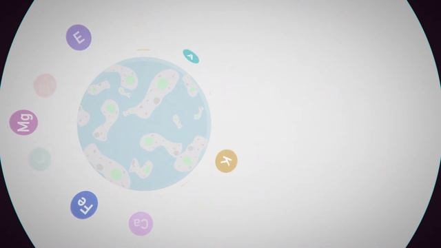 Видеореклама для сайтов