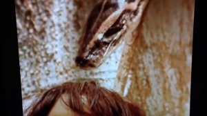 Kaa and Mowgli Real Encounter