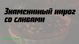 Знаменитый пирог со сливами