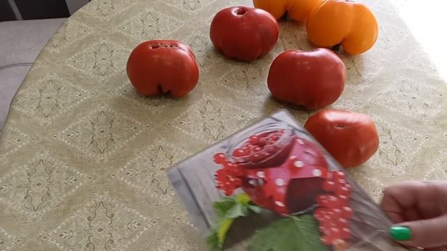 Дегустация сорта томата Рубиновый сюрприз.Семена можно получить в подарок.24.08.2022 смотреть онлайн