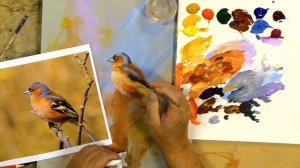 Painting Birds Challenge  Chaffinch