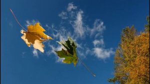 Игорь Дудин – Август (стихи Антонина Гриппа, муз  Игорь Дудин)2