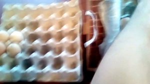 Совместная инкубация тяжелого кросса индейки и бройлера 2 часть!