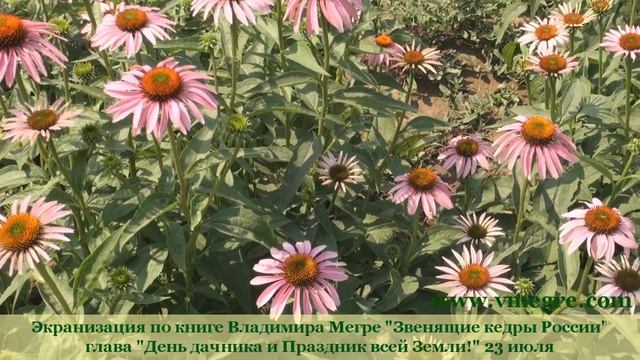 "День дачника и Праздник всей Земли!" #23июляДеньЗемли